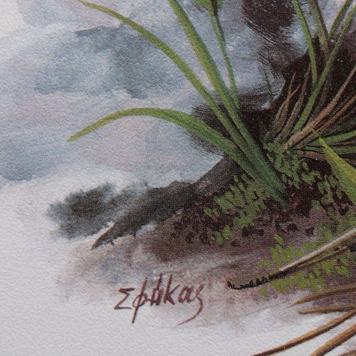 Set of 4 used watercolor reproductions with wildflowers