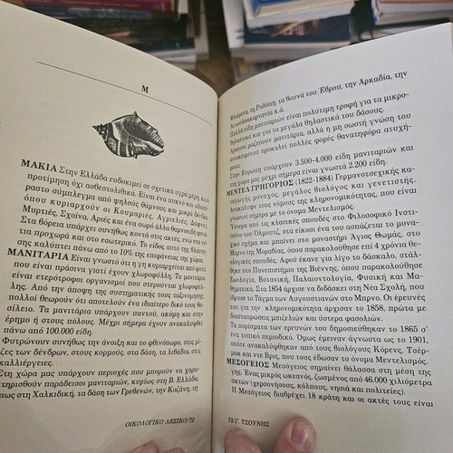 Dictionary for the Environment like new