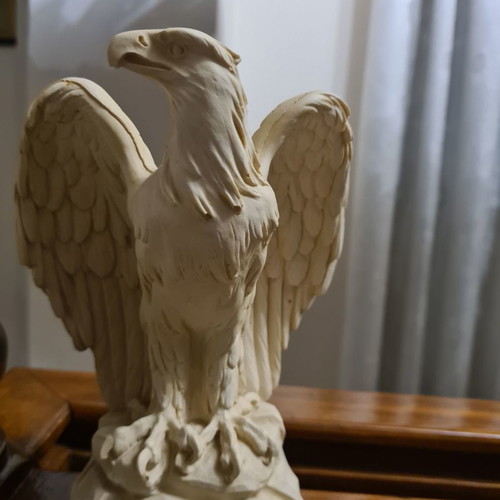 Gypsos eagle used 20×10