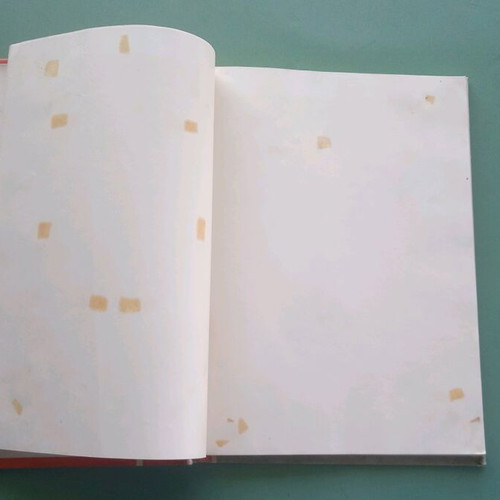 Santorini notebook used with thick front and back cover