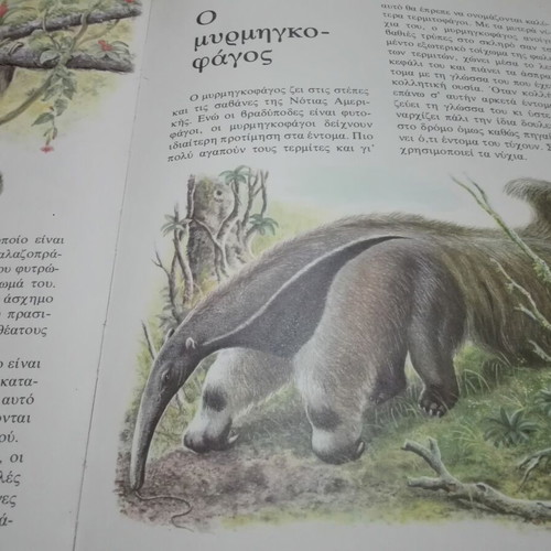 Stratiki School Animal Encyclopedia used