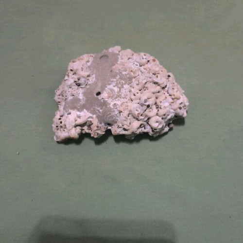 Decorative flat stone new, ready for painting 1 pc