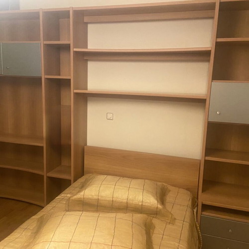 Bed and bookshelf set