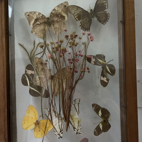 Vintage wooden frame with butterflies and dried flowers, antique wall art