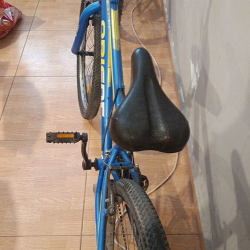 Mountain bike, 24 inch, 7-speed, blue, men's
