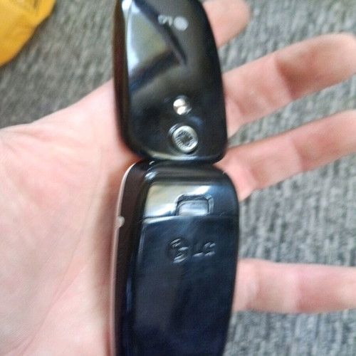 LG KG220 mobile phone new clamshell model with case