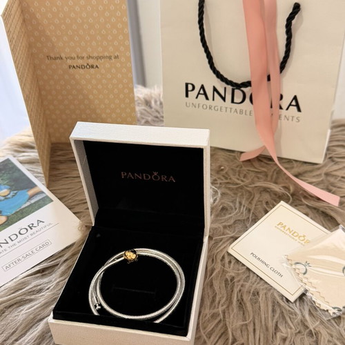 Pandora necklace silver and gold