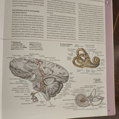 Anatomy book like new, atlas with over 600 color images