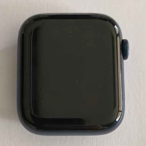 Apple Watch Series 6 Aluminium & Ceramic 44mm