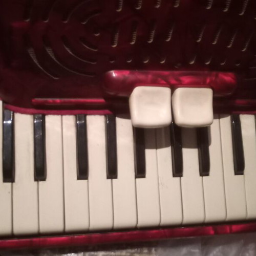 Accordion used