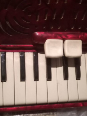 Accordion used