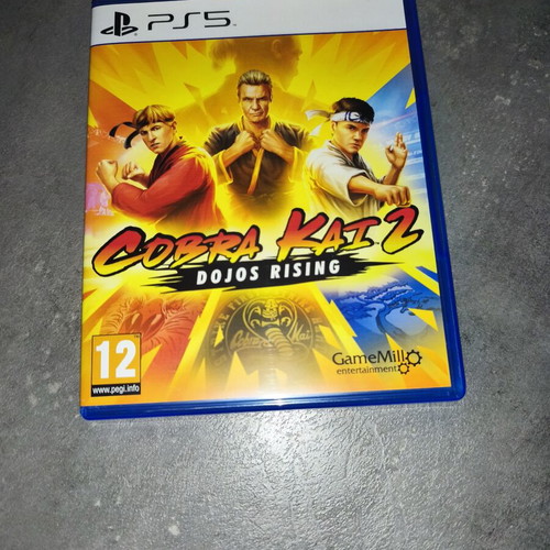 Cobra Kai 2 Dojos Rising PlayStation 5 game like new