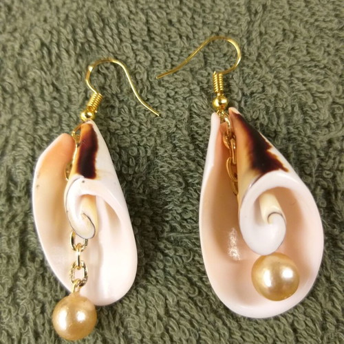 Earrings with spiral shell and pearl
