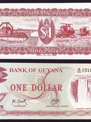 Guyana 1 Dollar 1989 Ακυκλοφόρητο UNC
