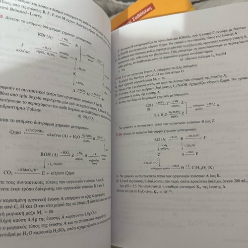 Salteris Chemistry Guide G’ Lyceum used