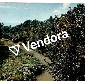 Παλιά Τρίκαλα - Old Trikala - Όχθη ποταμού Ληθαίου - Σπάνια, Συλλεκτική καρτ ποστάλ - Vintage
