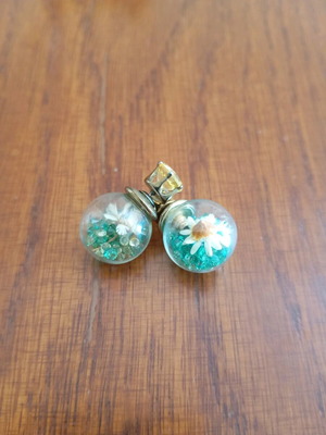 Earrings used