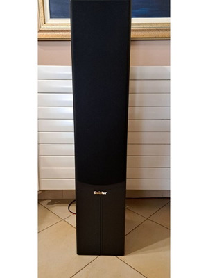 Roister floor-standing speakers like new 140W RMS