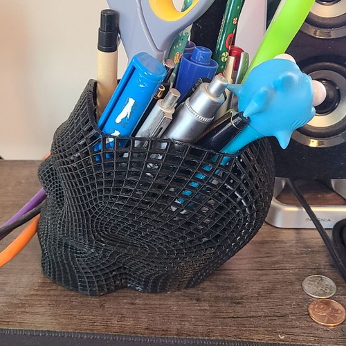 Skull pencil holder new, spacious in multiple colors