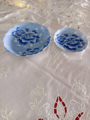 Set of 2 vintage blue plates with floral rose pattern used