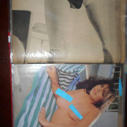 Nude posters used, 22 from 1970-80 magazines, size A4