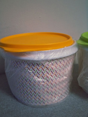 Tupperware 2 new containers with lids