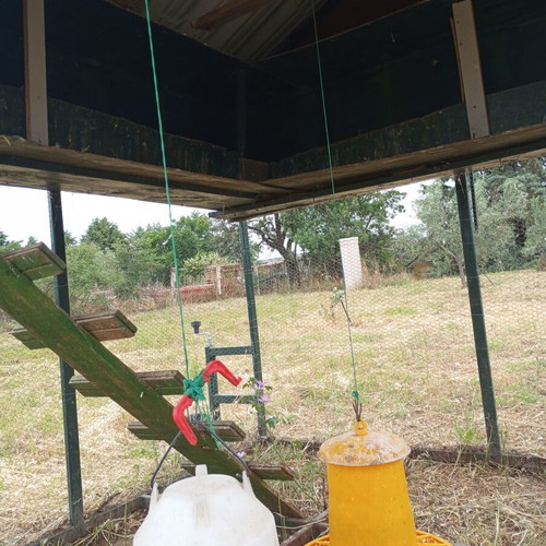 Mobile chicken coop used with automatic timer door