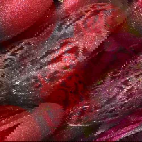 Χριστουγεννιάτικα στολίδια μεταχειρισμένα, σετ 22 τεμαχίων σε φουξ και μωβ αποχρώσεις