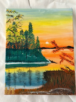 Painted canvas like new