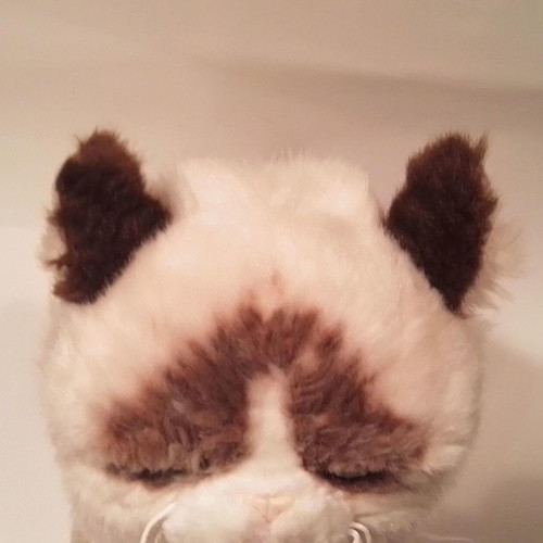 Grumpy Cat GUND plush cat used