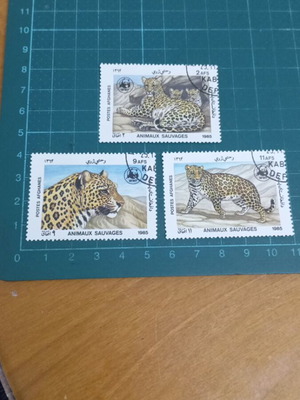Afghanistan 1985 Léopard Stamps new