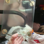 Decorative fruit stand like new, plastic