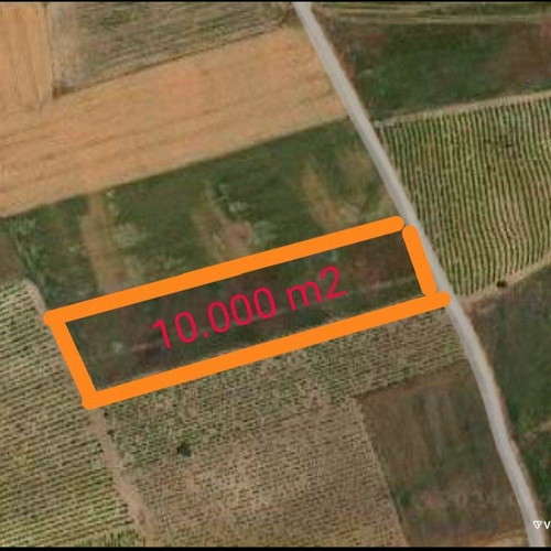 Agricultural land 10,000 m² in Viotia with irrigation potential