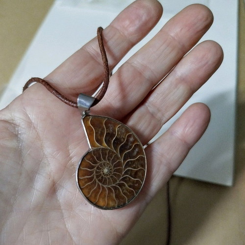 Ammonite pendant new with metal frame and leather cord