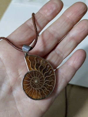 Ammonite pendant new with metal frame and leather cord