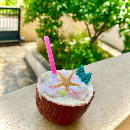 Decorative Coconut Cocktail Handmade