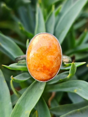 Silver ring with coral new, size 6.5, red-orange