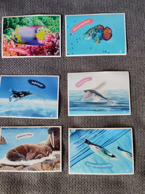 AB stickers with animals like new, set of 6