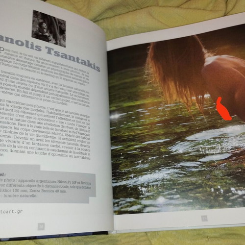 Les 20 meilleurs photographes de nu book like new, French