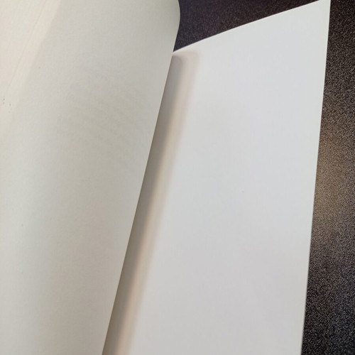 One Dangerous Trader Nik Lizon book like new