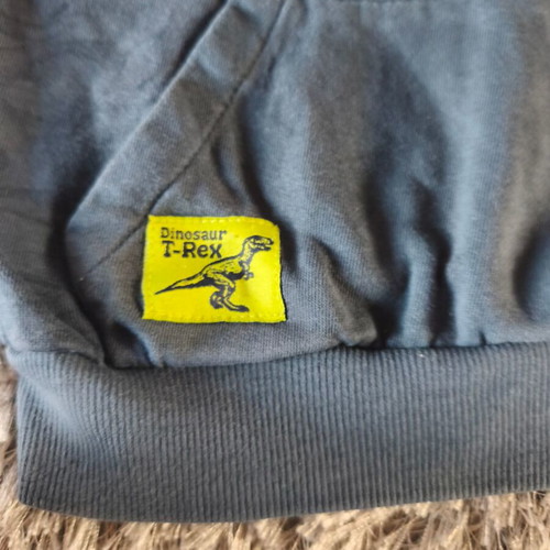Sweatshirt 100% cotton with dinosaurs like new, size 3 years