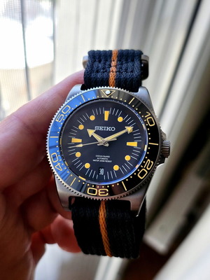 Seiko Mod Titanium FXD Ocean Guard 42mm NH35 Automatic Watch