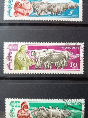 Vintage Mongolia 1961 Stamps Set of 3, Nomadic Livestock Theme