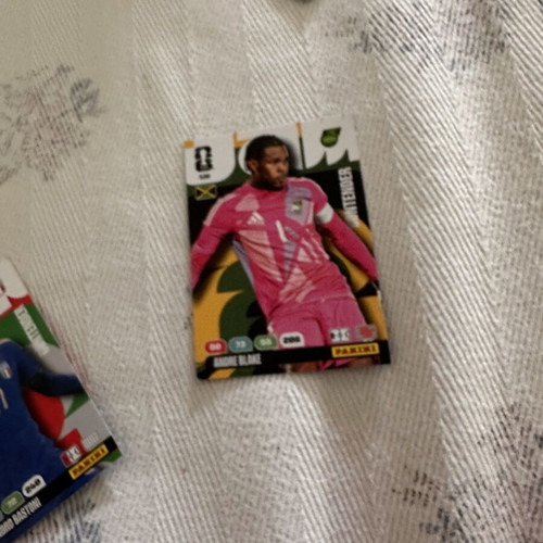 World Cup Contenders Cards Alessandro Bastoni, Andre Blake, Ethan Pinnock