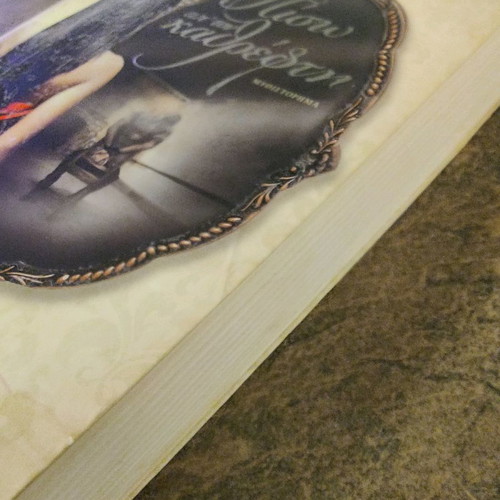 Behind the Mirror novel used