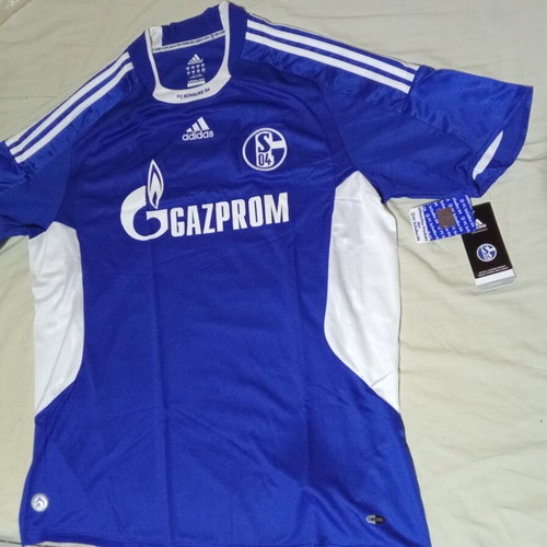 Schalke team appearance 2008-2009
