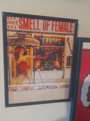The Cramps Smell of Female αφίσα 26×21εκ με κορνίζα