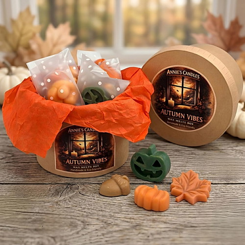 Autumn Vibes Box 60g natural wax melts with fall scents