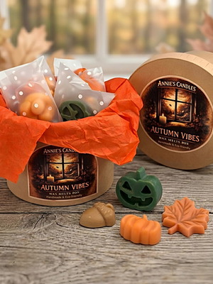 Autumn Vibes Box 60g natural wax melts with fall scents