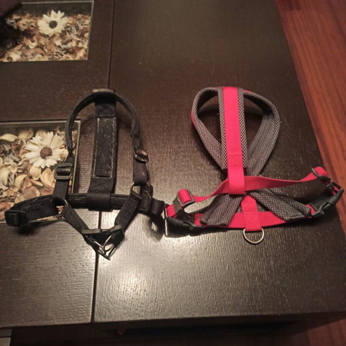 Dog harnesses used, pack of 2, chest strap collars